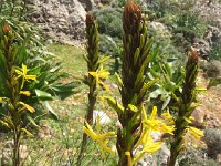 2017-04-09 12-50-53 1530fc8f  again